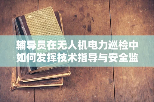 辅导员在无人机电力巡检中如何发挥技术指导与安全监督的双重角色？