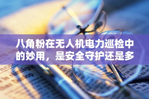 八角粉在无人机电力巡检中的妙用，是安全守护还是多余之举？