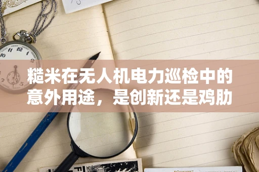 糙米在无人机电力巡检中的意外用途，是创新还是鸡肋？
