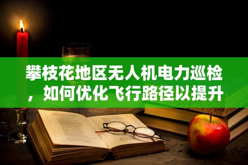 攀枝花地区无人机电力巡检，如何优化飞行路径以提升效率？