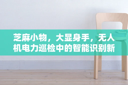 芝麻小物，大显身手，无人机电力巡检中的智能识别新挑战