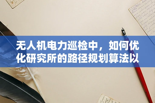 无人机电力巡检中，如何优化研究所的路径规划算法以提升效率？