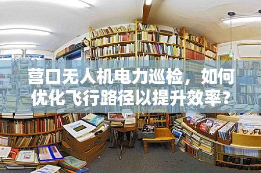营口无人机电力巡检，如何优化飞行路径以提升效率？