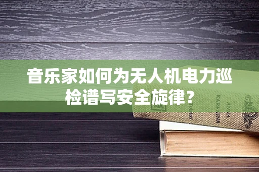 音乐家如何为无人机电力巡检谱写安全旋律？