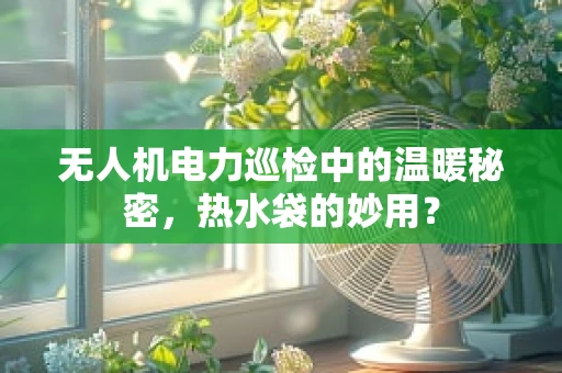 无人机电力巡检中的温暖秘密，热水袋的妙用？