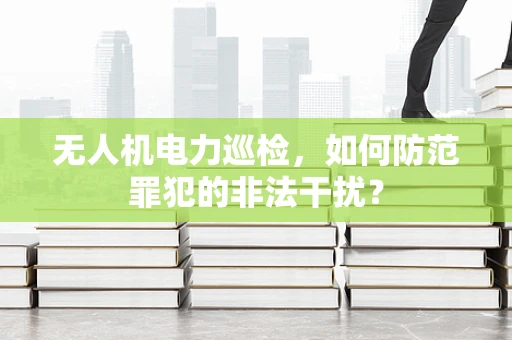 无人机电力巡检，如何防范罪犯的非法干扰？