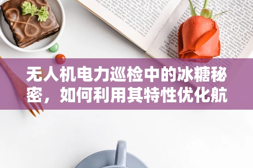 无人机电力巡检中的冰糖秘密，如何利用其特性优化航线规划？