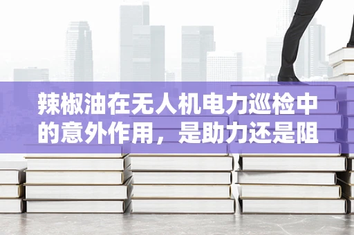 辣椒油在无人机电力巡检中的意外作用，是助力还是阻碍？