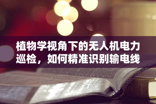 植物学视角下的无人机电力巡检，如何精准识别输电线路旁的植被生长？