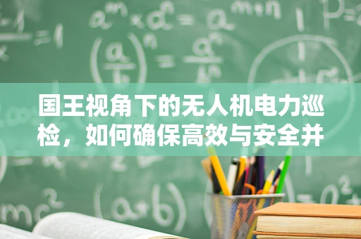 国王视角下的无人机电力巡检，如何确保高效与安全并重？