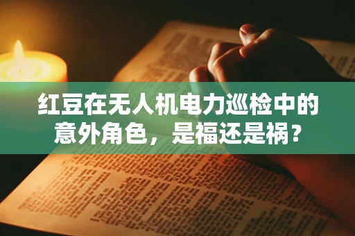 红豆在无人机电力巡检中的意外角色，是福还是祸？