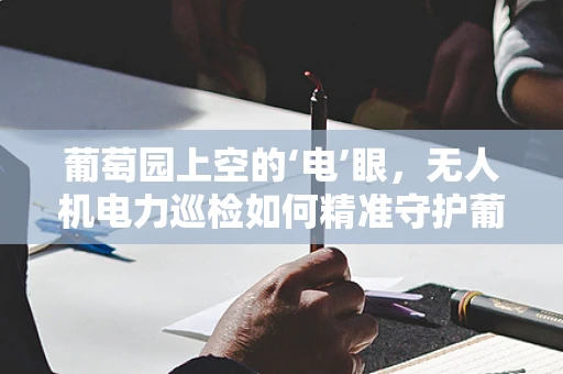 葡萄园上空的‘电’眼，无人机电力巡检如何精准守护葡萄园的‘甜蜜’？