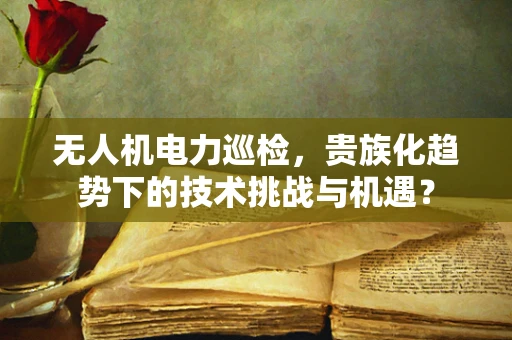 无人机电力巡检，贵族化趋势下的技术挑战与机遇？
