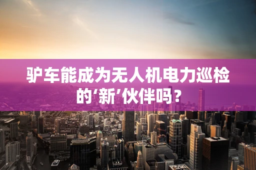 驴车能成为无人机电力巡检的‘新’伙伴吗？