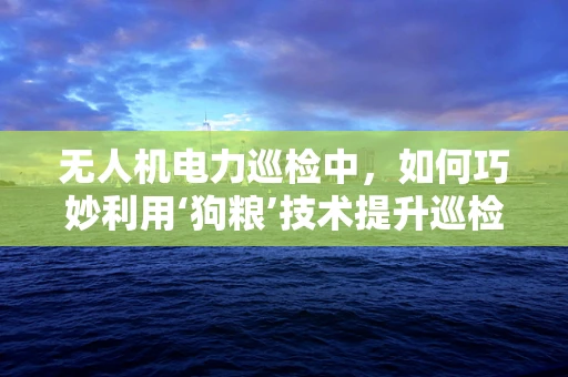 无人机电力巡检中，如何巧妙利用‘狗粮’技术提升巡检效率？