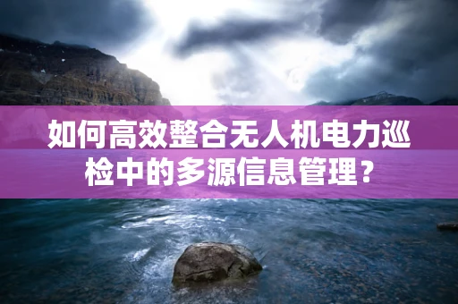 如何高效整合无人机电力巡检中的多源信息管理？