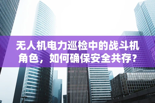 无人机电力巡检中的战斗机角色，如何确保安全共存？