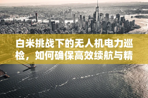 白米挑战下的无人机电力巡检，如何确保高效续航与精准检测？