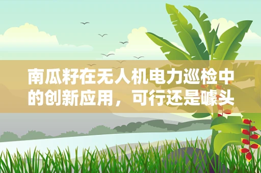 南瓜籽在无人机电力巡检中的创新应用，可行还是噱头？