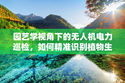 园艺学视角下的无人机电力巡检，如何精准识别植物生长对输电线路的影响？