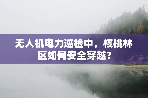 无人机电力巡检中，核桃林区如何安全穿越？