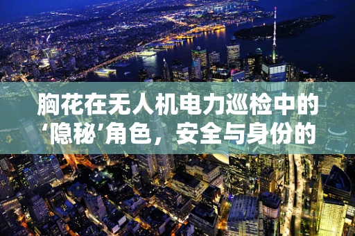胸花在无人机电力巡检中的‘隐秘’角色，安全与身份的双重保障