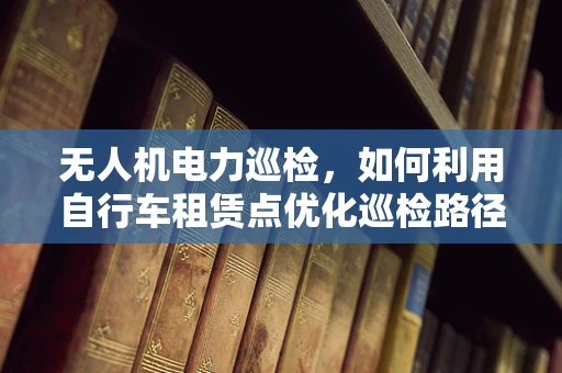 无人机电力巡检，如何利用自行车租赁点优化巡检路径？