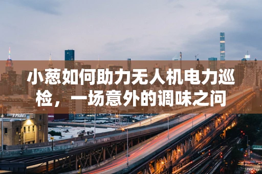 小葱如何助力无人机电力巡检，一场意外的调味之问