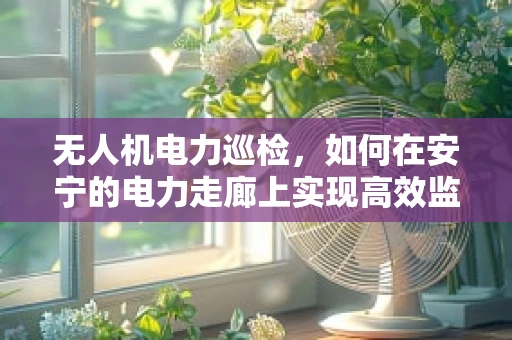 无人机电力巡检，如何在安宁的电力走廊上实现高效监测？