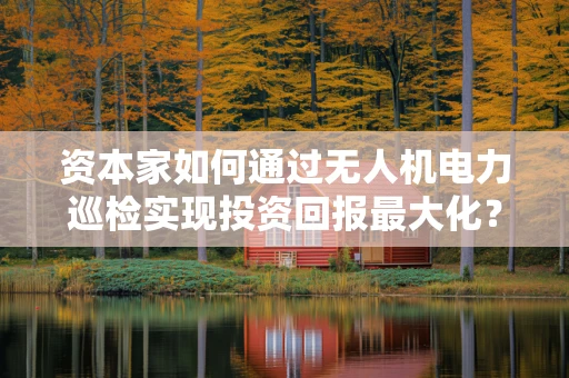 资本家如何通过无人机电力巡检实现投资回报最大化？