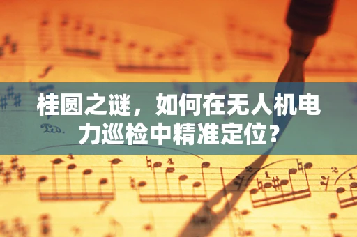 桂圆之谜，如何在无人机电力巡检中精准定位？