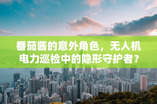 番茄酱的意外角色，无人机电力巡检中的隐形守护者？