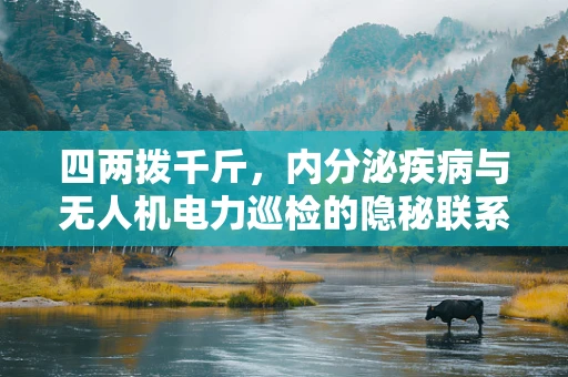 四两拨千斤，内分泌疾病与无人机电力巡检的隐秘联系
