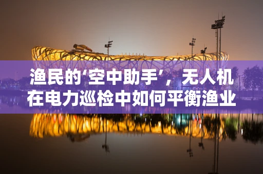 渔民的‘空中助手’，无人机在电力巡检中如何平衡渔业安全与电力设施保护？