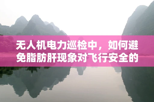 无人机电力巡检中，如何避免脂肪肝现象对飞行安全的影响？