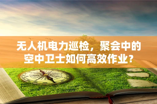 无人机电力巡检，聚会中的空中卫士如何高效作业？