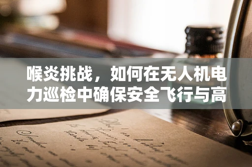 喉炎挑战，如何在无人机电力巡检中确保安全飞行与高效作业？