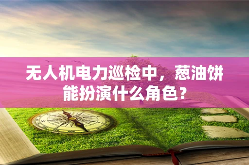 无人机电力巡检中，葱油饼能扮演什么角色？