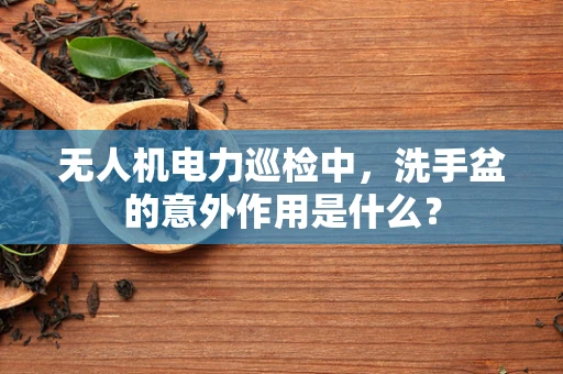 无人机电力巡检中，洗手盆的意外作用是什么？