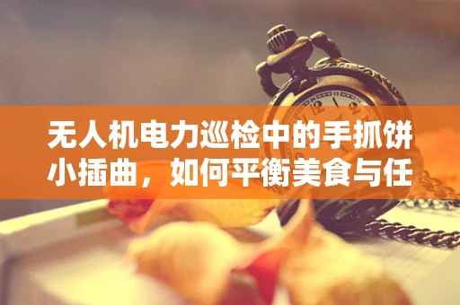 无人机电力巡检中的手抓饼小插曲，如何平衡美食与任务？
