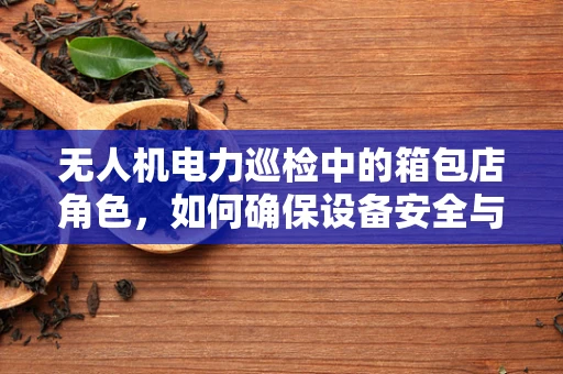 无人机电力巡检中的箱包店角色，如何确保设备安全与高效运输？