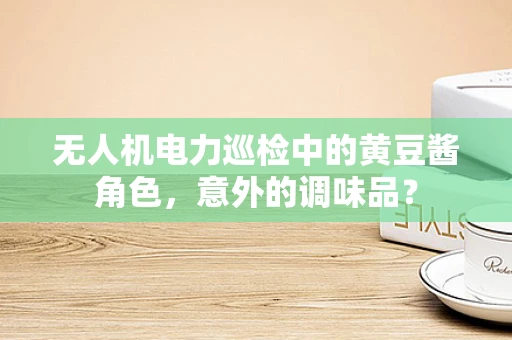 无人机电力巡检中的黄豆酱角色，意外的调味品？