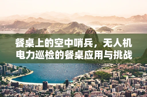 餐桌上的空中哨兵，无人机电力巡检的餐桌应用与挑战