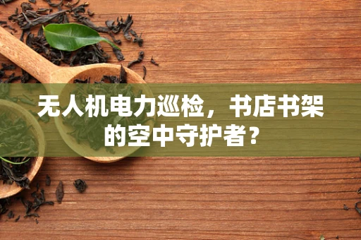 无人机电力巡检，书店书架的空中守护者？