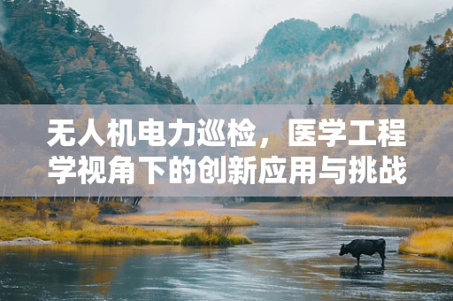 无人机电力巡检，医学工程学视角下的创新应用与挑战？