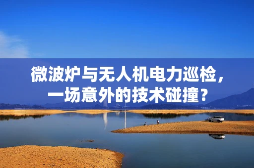 微波炉与无人机电力巡检，一场意外的技术碰撞？