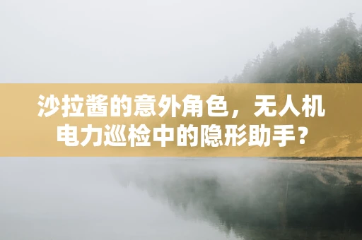 沙拉酱的意外角色，无人机电力巡检中的隐形助手？