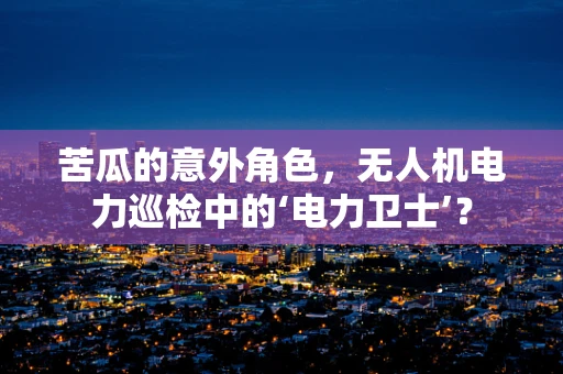 苦瓜的意外角色，无人机电力巡检中的‘电力卫士’？