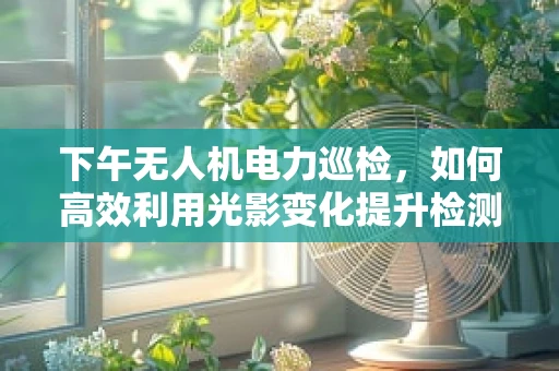 下午无人机电力巡检，如何高效利用光影变化提升检测精度？