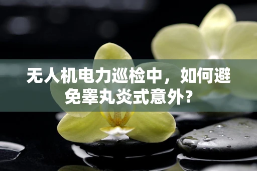 无人机电力巡检中，如何避免睾丸炎式意外？